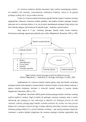 Paslaugų kokybės analizė: "Šiaulių visuomenės sveikatos centras" 16 puslapis