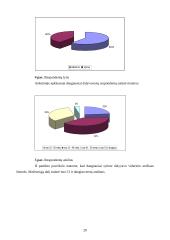 Paslaugų kokybės analizė: "Šiaulių visuomenės sveikatos centras" 20 puslapis