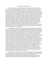Šeimos modelis moterų literatūroje 1 puslapis