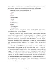 Pieno pramonės rinkos tyrimai 12 puslapis