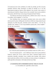 Pieno pramonės rinkos tyrimai 9 puslapis