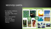 Negyvosios gamtos sąlygos atogrąžų miškuose 4 puslapis