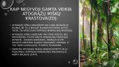 Negyvosios gamtos sąlygos atogrąžų miškuose 6 puslapis