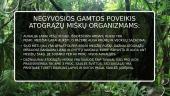 Negyvosios gamtos sąlygos atogrąžų miškuose 7 puslapis