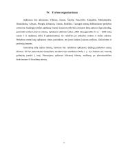 Reklamos įtaka individų vartojiškumui 7 puslapis