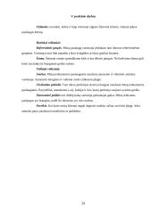 Rinkodaros praktinis darbas 15 puslapis