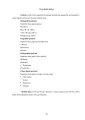 Rinkodaros praktinis darbas 16 puslapis