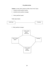 Rinkodaros praktinis darbas 19 puslapis