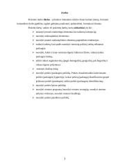 Rinkodaros praktinis darbas 3 puslapis