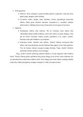 Marketingo kvalifikacinės praktikos ataskaita 13 puslapis