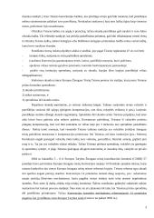 Peticijų padavimo teisė (Europos žmogaus teisingumo teismas) 3 puslapis