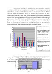 Rūkymo įtaka paauglystėje 14 puslapis