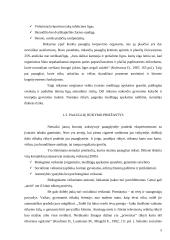 Rūkymo įtaka paauglystėje 6 puslapis