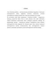 Skridimo – fotografavimo žemėlapio projektavimas ir sudėtingų objektų uždaviniai erdviniuose brėžiniuose 5 puslapis