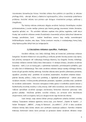 Socialinė reklama 6 puslapis