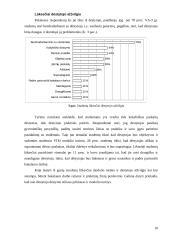 Socialinių tyrimų metodologija: lūkesčiai 9 puslapis