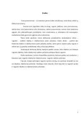 Vagystės objekto ir objektyviosios pusės analizė 2 puslapis