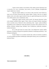 Vagystės objekto ir objektyviosios pusės analizė 14 puslapis