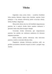 Tyrimas: Mėgstamiausios pamokos 2 puslapis