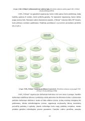 Uždarosios akcinės bendrovės „Vičiūnai“ veiklos analizė ir sprendimai veiklai gerinti 12 puslapis