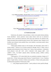 Uždarosios akcinės bendrovės „Vičiūnai“ veiklos analizė ir sprendimai veiklai gerinti 17 puslapis