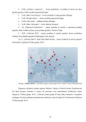 Uždarosios akcinės bendrovės „Vičiūnai“ veiklos analizė ir sprendimai veiklai gerinti 18 puslapis