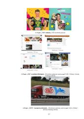 Uždarosios akcinės bendrovės „Vičiūnai“ veiklos analizė ir sprendimai veiklai gerinti 20 puslapis