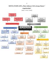 Žinių vadybos kompetencijų aplankas 6 puslapis