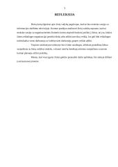 Žinių vadybos kompetencijų aplankas 7 puslapis