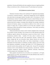 Nacionalinių Teismų teisė ir pareiga kreiptis į EB teisingumo teismą 20 puslapis