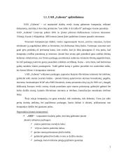 Vertės inovacijos galimybės: siuntų gabenimas UAB  "Gabenta" 2 puslapis