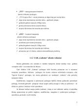 Vertės inovacijos galimybės: siuntų gabenimas UAB  "Gabenta" 3 puslapis