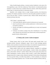 Vertės inovacijos galimybės: siuntų gabenimas UAB  "Gabenta" 4 puslapis