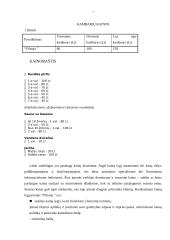 Viešbučio marketingo tyrimas: "Vilnoja" 7 puslapis