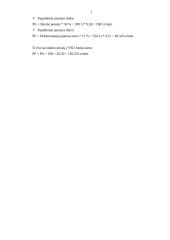 Finansų ministerijos vaidmuo 13 puslapis