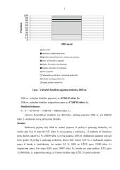 Finansų ministerijos vaidmuo 10 puslapis