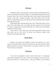 Ikimokyklinio amžiaus vaikų analizė 2 puslapis