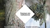 Taršos bioindikatoriai 11 puslapis