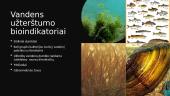Taršos bioindikatoriai 3 puslapis