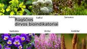 Taršos bioindikatoriai 7 puslapis