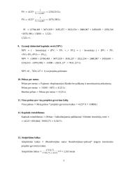 Investicinių projektų rodikliai 3 puslapis