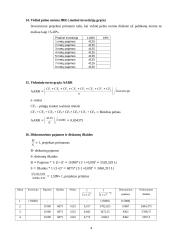 Investicinių projektų rodikliai 4 puslapis