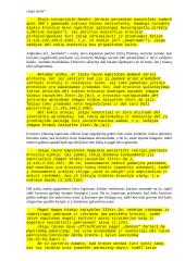 Laivų katastrofos 4 puslapis