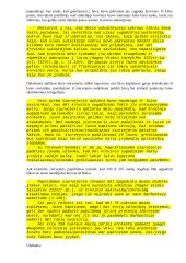 Laivų katastrofos 6 puslapis