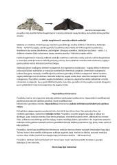 Č. Darvino gamtinės atrankos teorija 3 puslapis