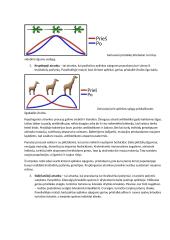 Č. Darvino gamtinės atrankos teorija 5 puslapis