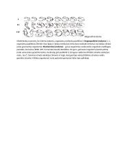 Č. Darvino gamtinės atrankos teorija 9 puslapis