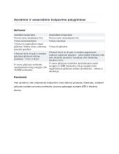 Ląstelių kvėpavimo būdai 4 puslapis