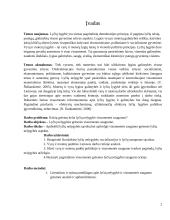 Lyčių nelygybės grėsmės visuomenės saugumui 2 puslapis