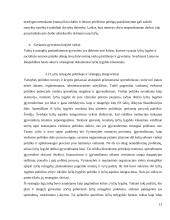 Lyčių nelygybės grėsmės visuomenės saugumui 13 puslapis